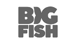 bigfish